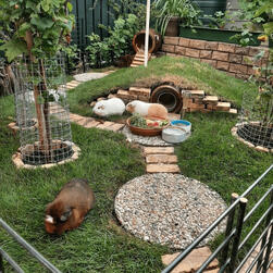 PET AREA OUTDOOR