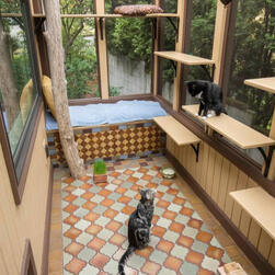 PET AREA PET AREA