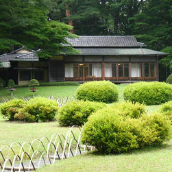 TEMPAT PENAMPUNGAN HEWAN MANSION