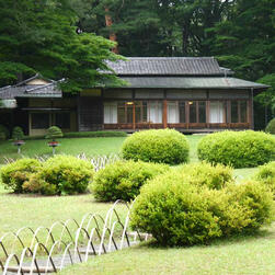 TEMPAT PENAMPUNGAN HEWAN MANSION TEMPAT PENAMPUNGAN HEWAN MANSION