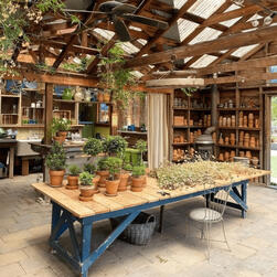 WOODY'S WORKSHOP WOODY'S WORKSHOP